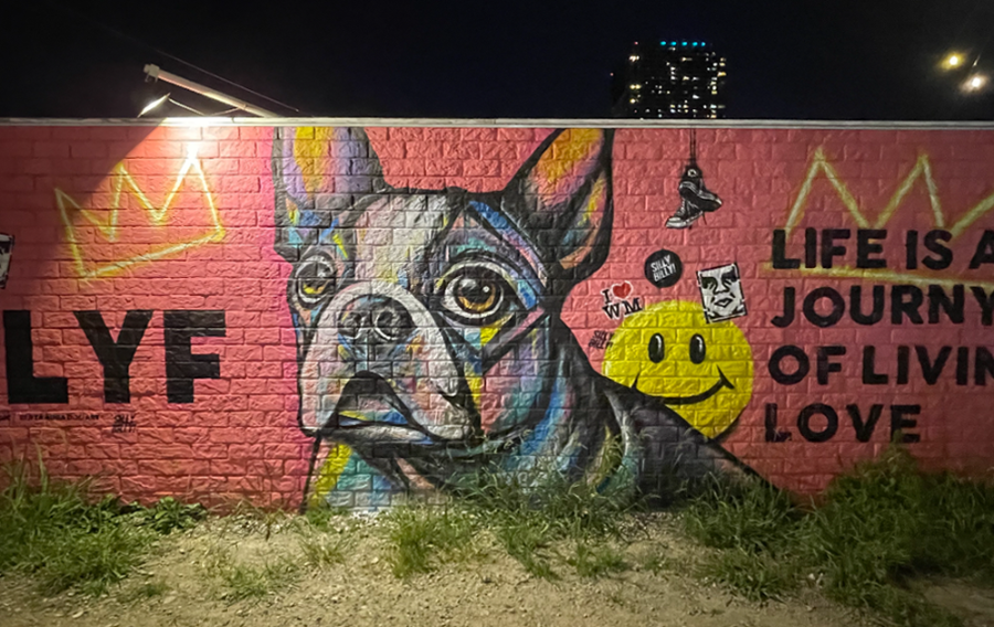 일본 도쿄로 다시 가고 싶은 3박 4일 여행기 - 와일드 매직 인사 및 헤어짐 불독