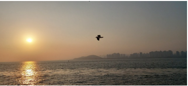 해돋이 명소[서울, 경기지역] 해돋이 시간