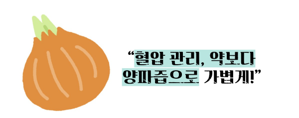 양파즙 효능 고혈압