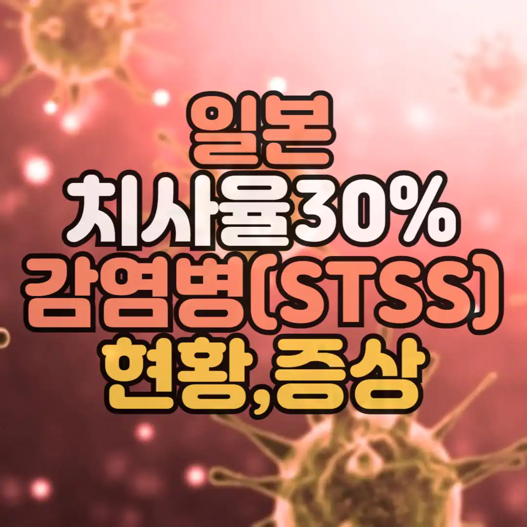 일본치사율 썸네일