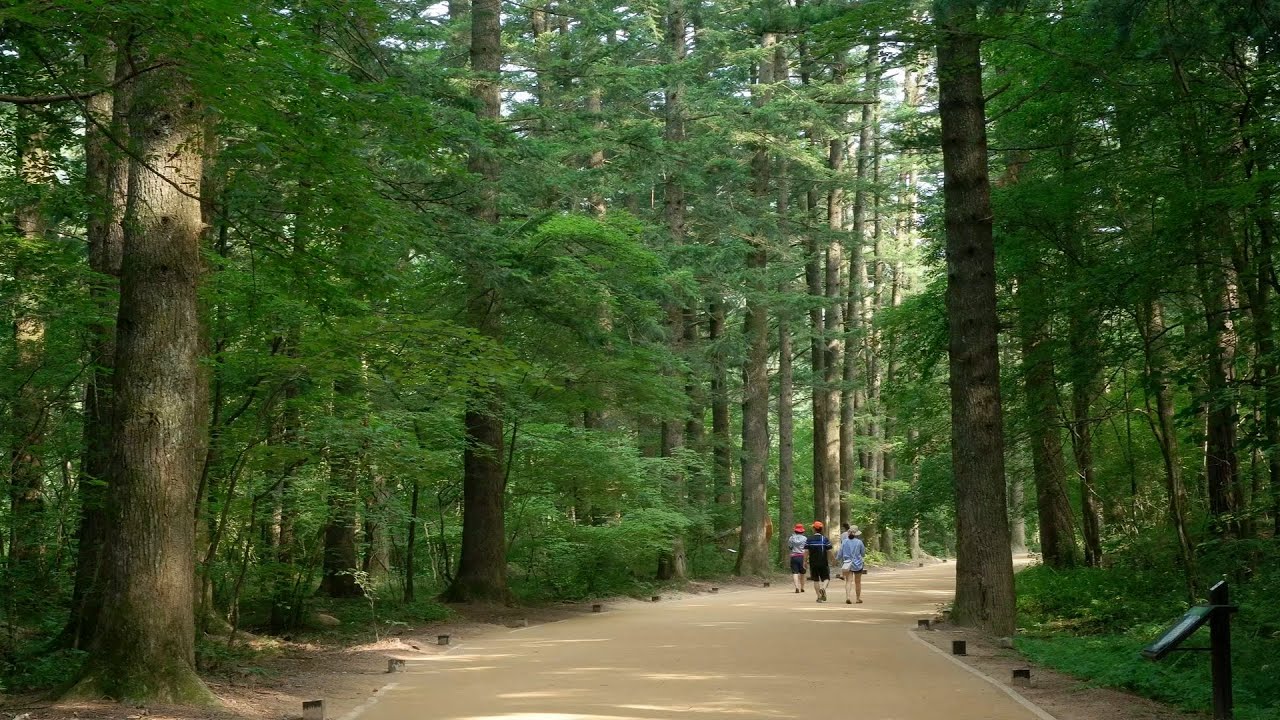 평창 가볼만한곳