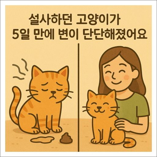 설사하던 고양이가 5일 만에 변이 단단해졌어요