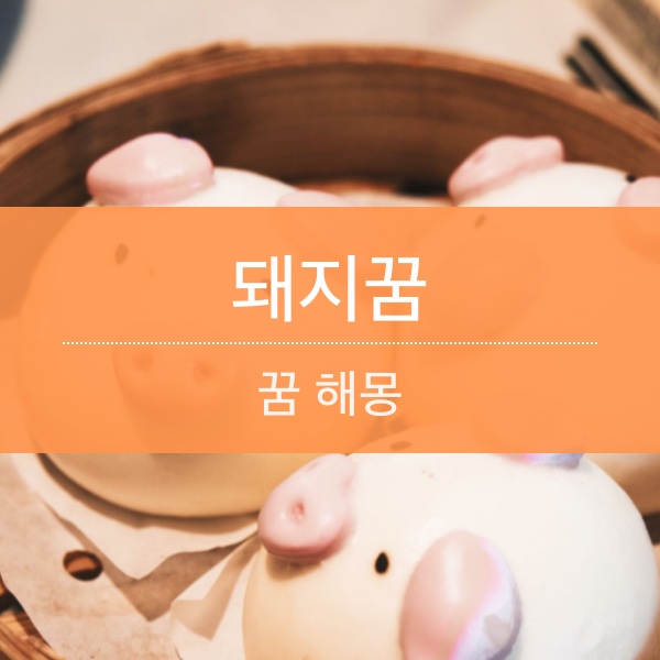 [꿈해몽] 돼지 꿈