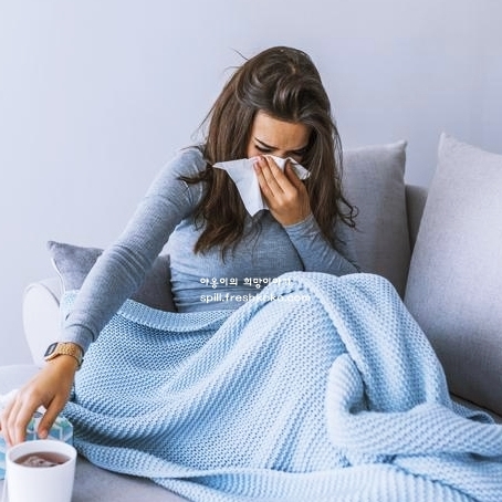 기침 가래 멈추는 방법