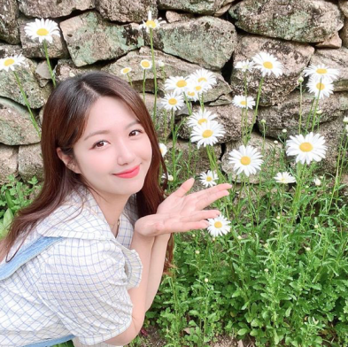 정다경