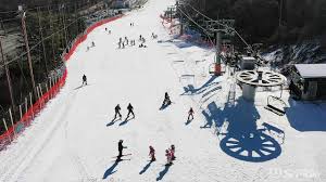 2025 스키장 개장일 완벽 총정리 - 용평부터 지산까지