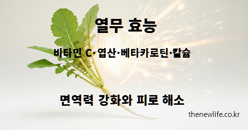 열무 효능 – 비타민 C와 엽산, 베타카로틴으로 면역력 강화와 피로 해소 도움