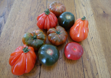 가짜 음식 컬렉터가 있다고? 희귀한 모형 음식 수집가들