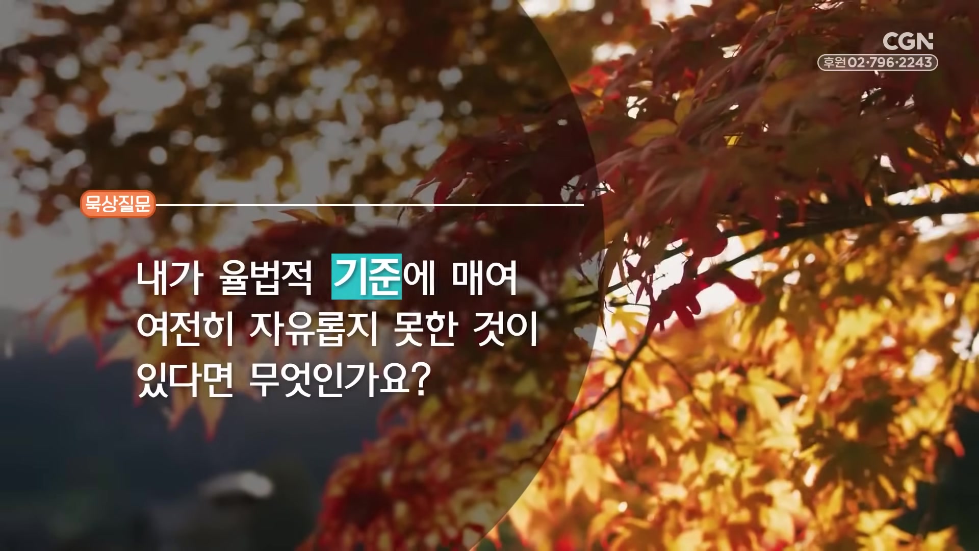 내가 율법적 기준에 매여 여전히 자유롭지 못한 것이 있다면 무엇인가요?