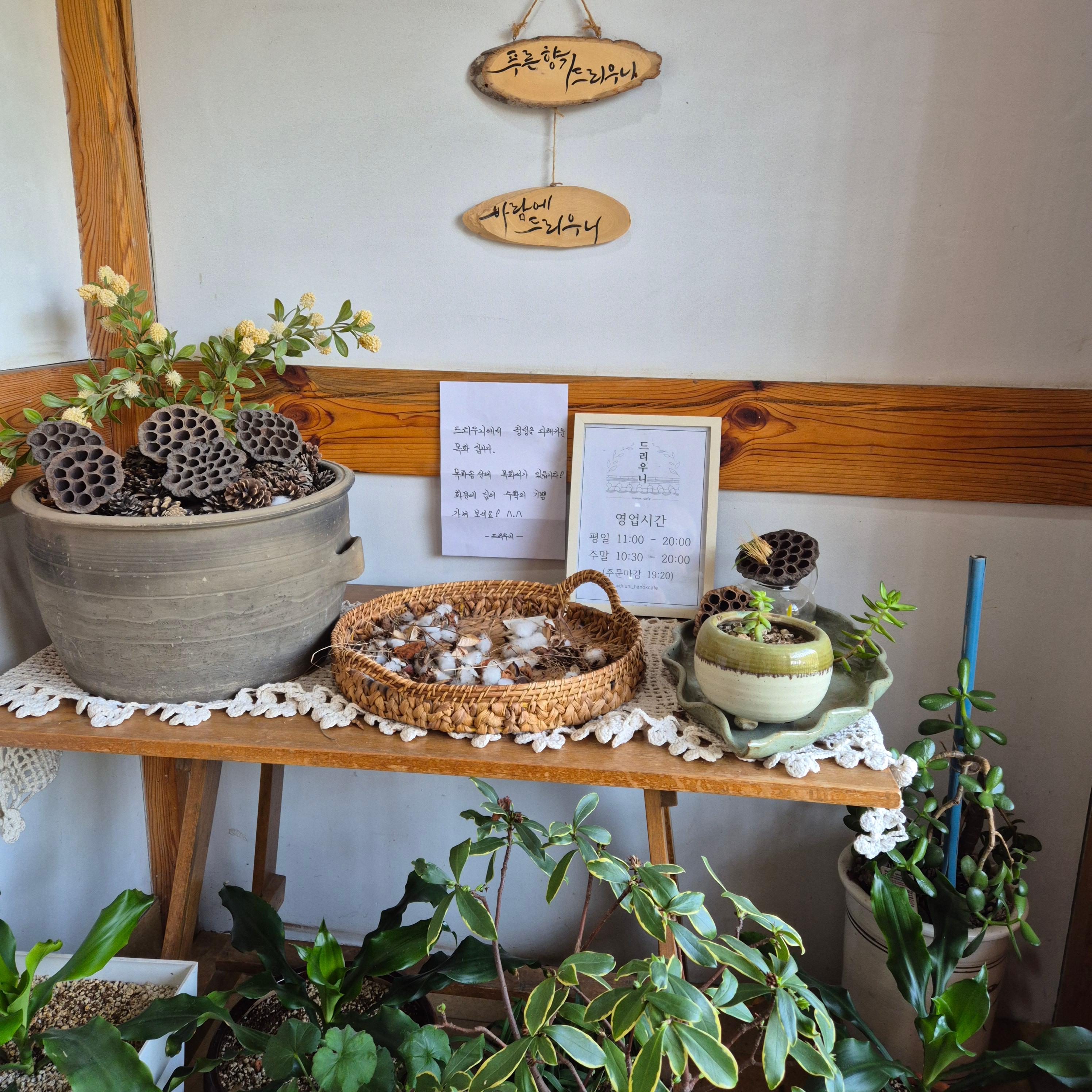 드리우니, 강화 카페 드리우니, 카페 드리우니, 드리우니 카페, 까페 드리우니, 드리우니 까페, 강화 까페 드리우니, 강화도 카페 드리우니, 강화도 까페 드리우니, 강화도 드리우니 까페, 강화도 드리우니 카페