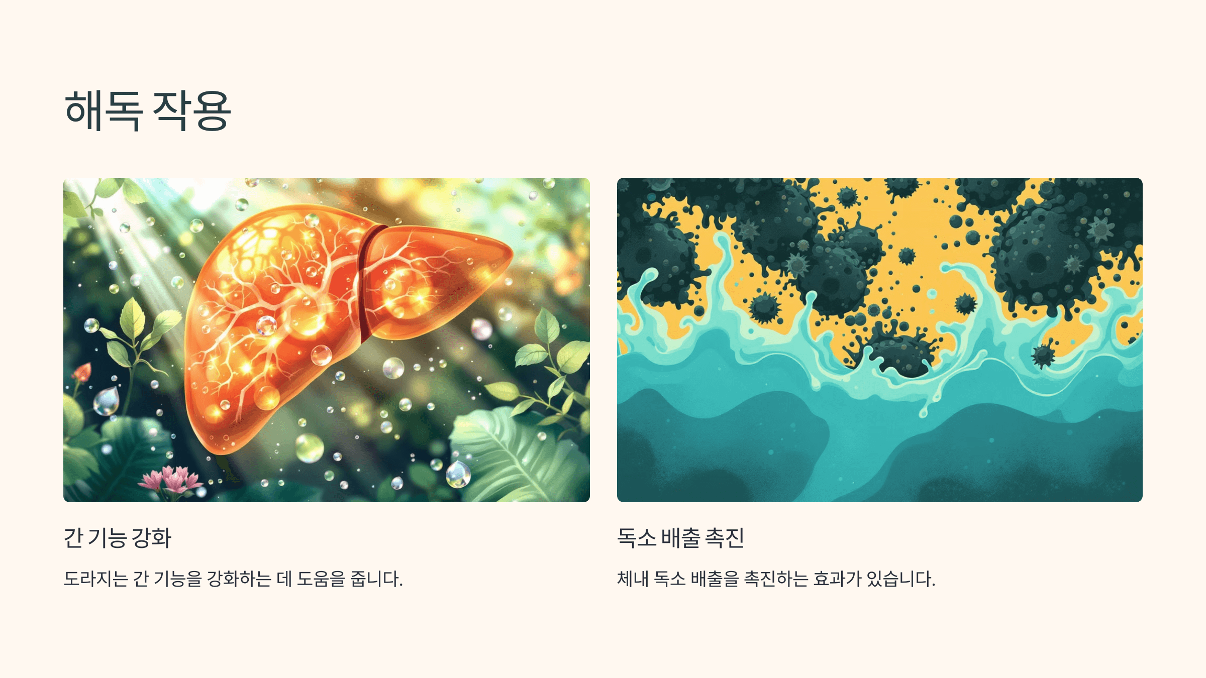 도라지 사진입니다.