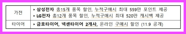 2024 코리아세일페스타 가전 타이어