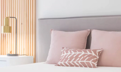 집에 바퀴벌레 있는지 없는지 확인하는 방법 (바퀴벌레 종류)