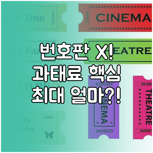 번호판 미부착 운행 과태료 절차별 예..