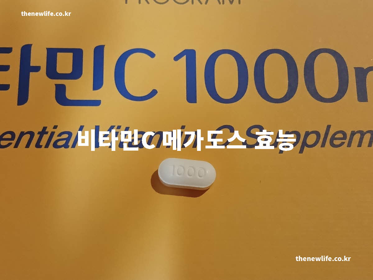 비타민C 메가도스 효능 대표 실사진