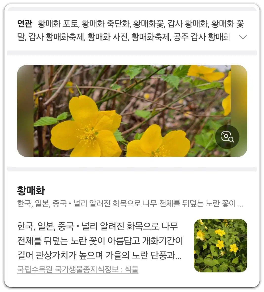 사진으로-꽃-검색-찾기-방법