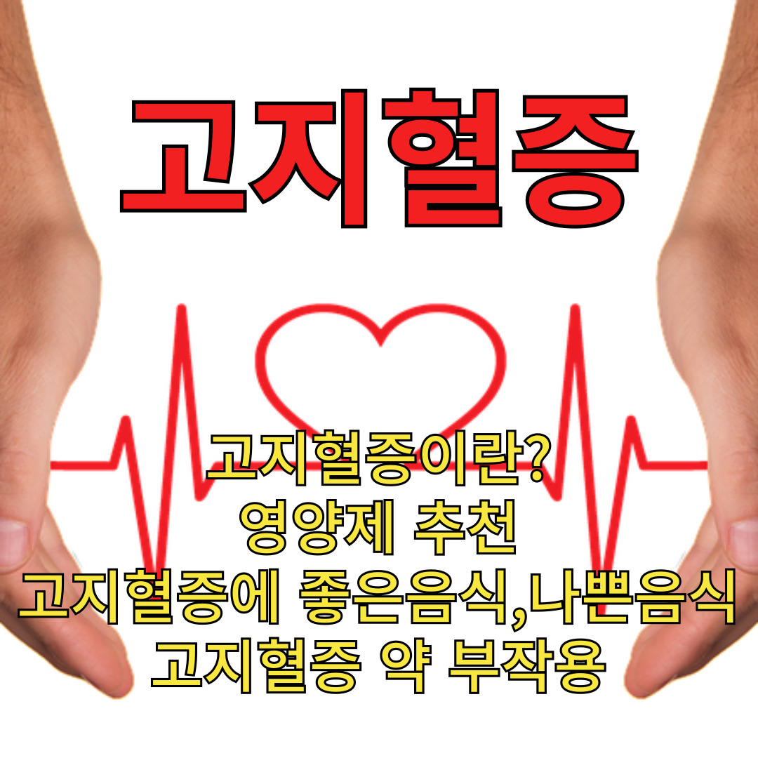 고지혈증에 대한 조언