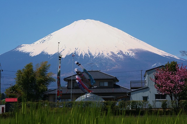 시즈오카 여행정보