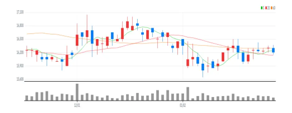 쿠쿠홀딩스 차트