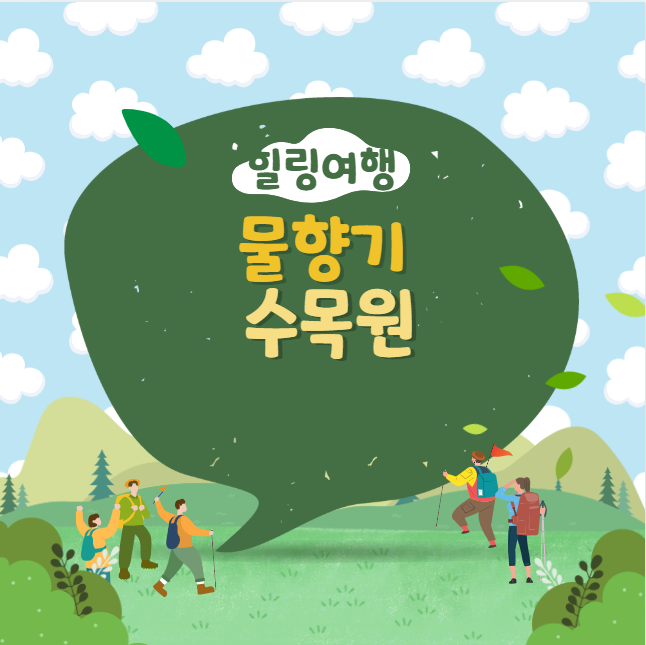 자연 속 힐링 여행지, 물향기수목원 완벽 가이드｜입장료&middot;주차&middot;사진 스팟까지!