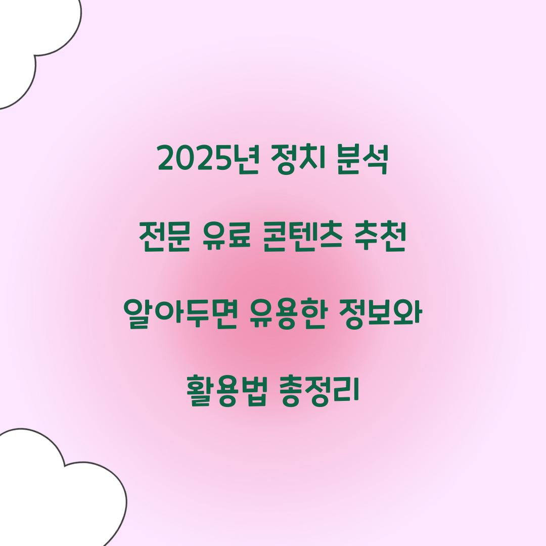 정치 분석 전문 유료 콘텐츠 추천