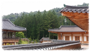 평창 여행 중 속세를 잠시 내려놓고 싶다면&#44; 월정사 템플스테이