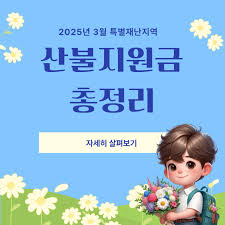 산불재난지원금 신청하기