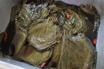 들깨 가격 및 효능, 영양소와 먹는 방법