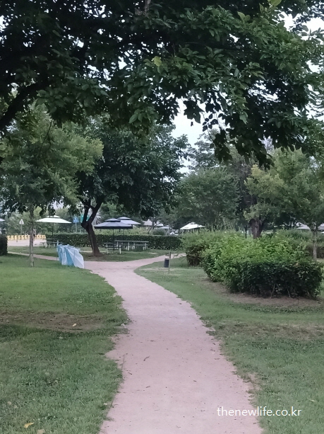 식후 혈당 낮추는 방법으로 적합한 공원 내 나무 그늘 아래 이어진 흙길 산책로