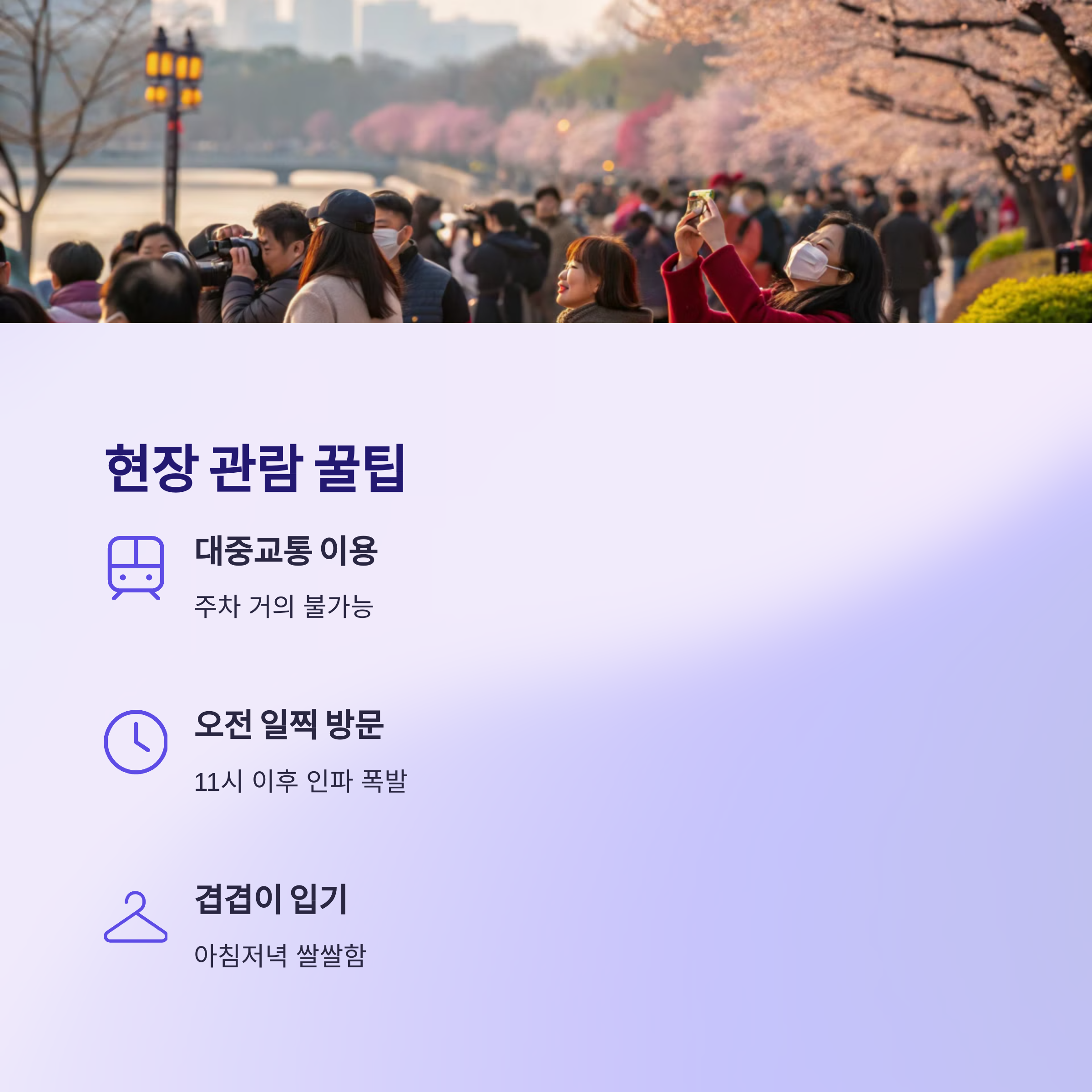 현장 관람 꿀팁