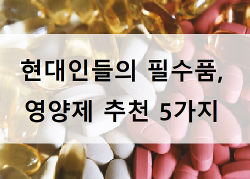 '평소 먹어주면 좋은 필수 영양제 추천'