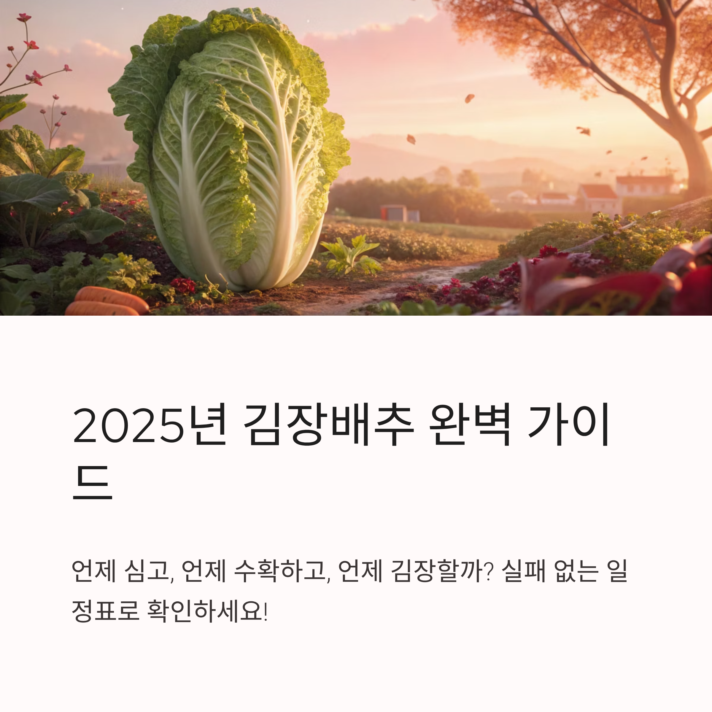2025년 김장배추심는시기 · 수확시기 · 김장시기 ❘ 실패 없는 일정 완벽 가이드