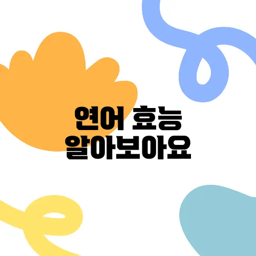 연어 효능 알아보아요