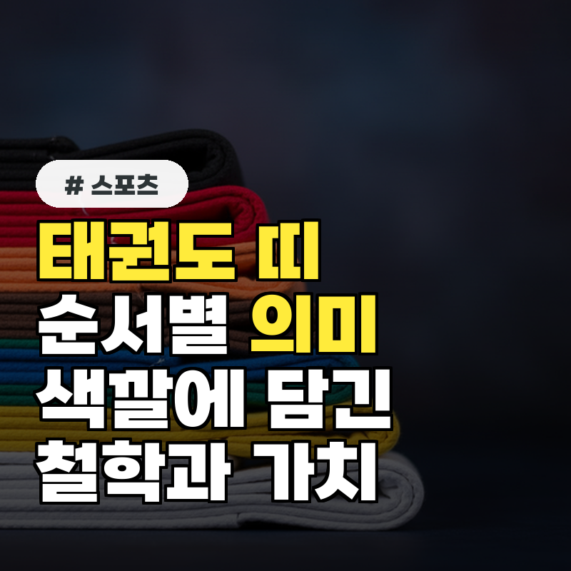 태권도 띠 순서별 의미 색깔에 담긴 철학과 가치