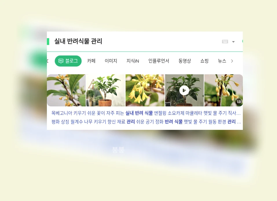 실내 반려식물 관리_1_subsection