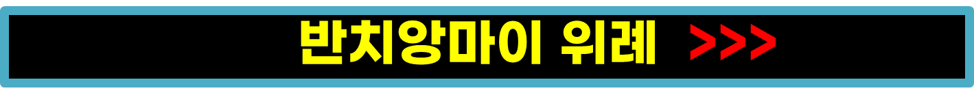 위례맛집. 위례광장 주변 맛집