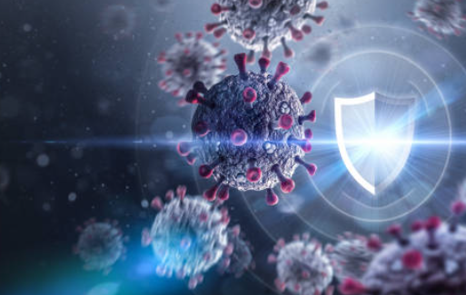 베타글루칸-콜레스테롤-개선-효과-설명하는-사진
