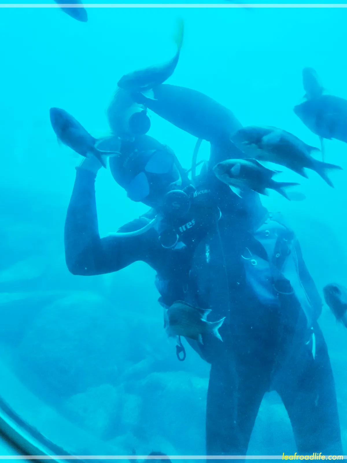 제주-우도잠수함-밖에서-하트하는-잠수부