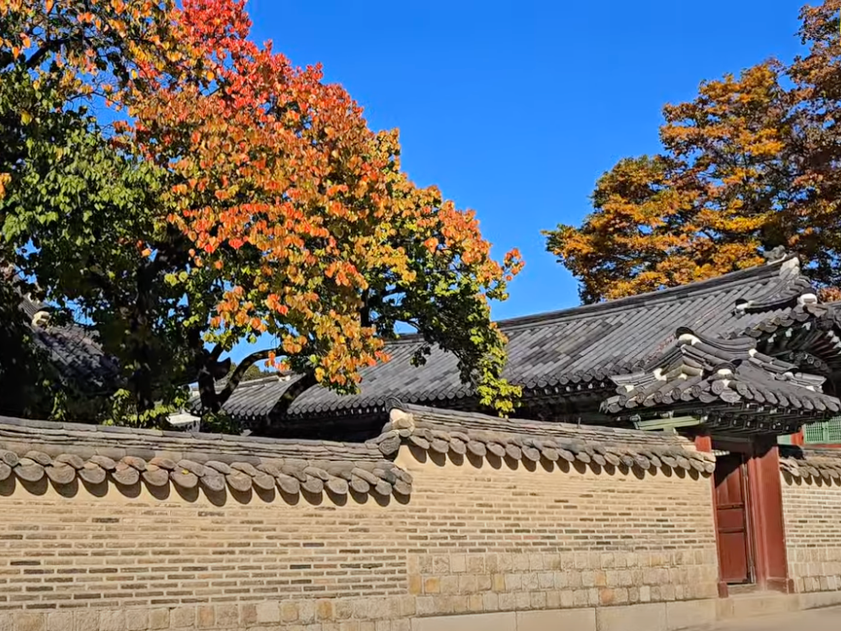 창덕궁 후원 가을 사진