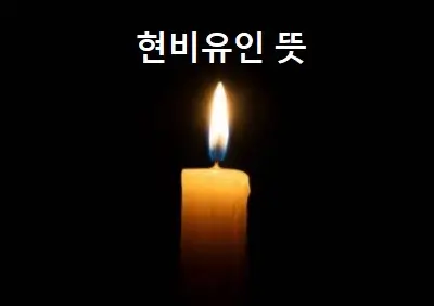 현비유인 뜻