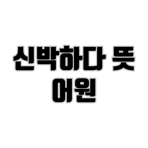 신박하다&nbsp;뜻&nbsp;어원