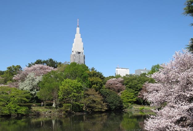 숲이 우거져 있고 뒤로 빌딩이 보인다.