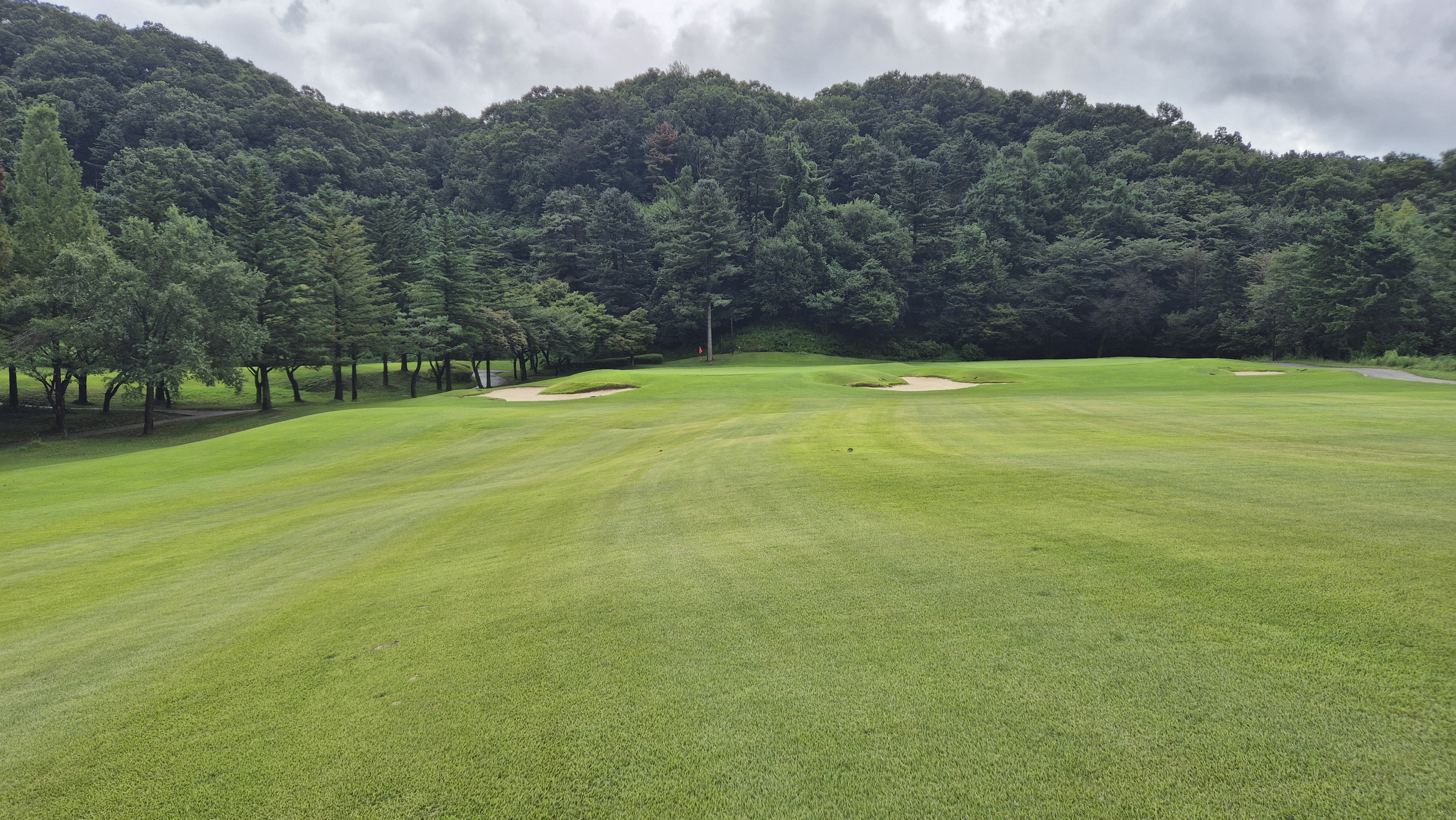 뉴서울cc 예술in-문화in 코스 사진 및 공략 정보