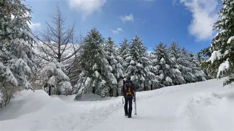 대관령 선자령 억새길