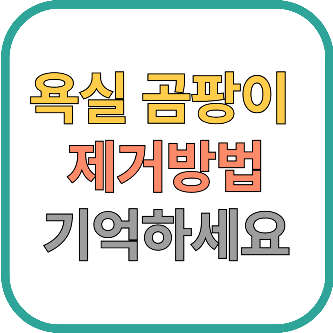 욕실 곰팡이 박멸법 – 곰팡이 없는 욕실 만드는 습관