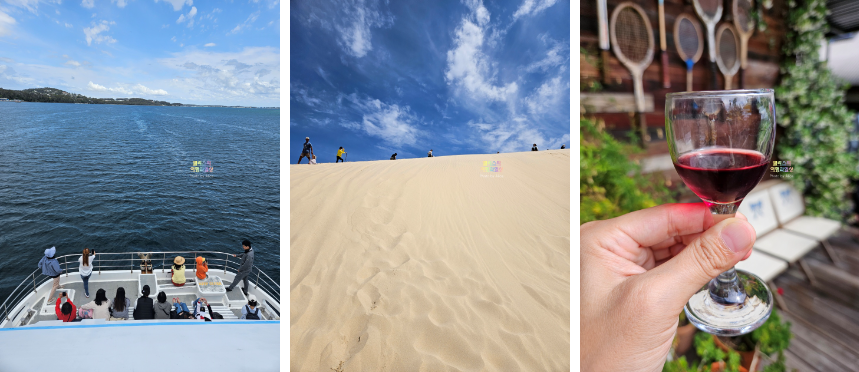 시드니 근교 블루마운틴 투어 가격 솔직 후기 + 시드니 동물원 일일투어