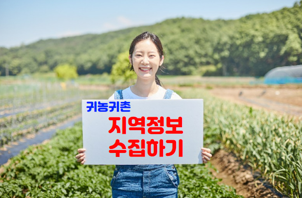 지역정보수집 배너