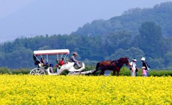 구리한강시민공원