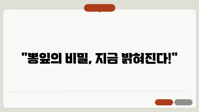 뽕잎 수확시기와 재배방법