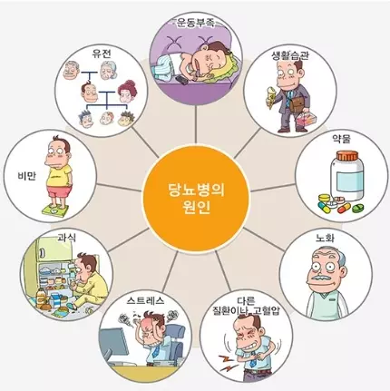 당뇨병의 원인
